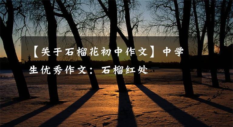 【关于石榴花初中作文】中学生优秀作文：石榴红处