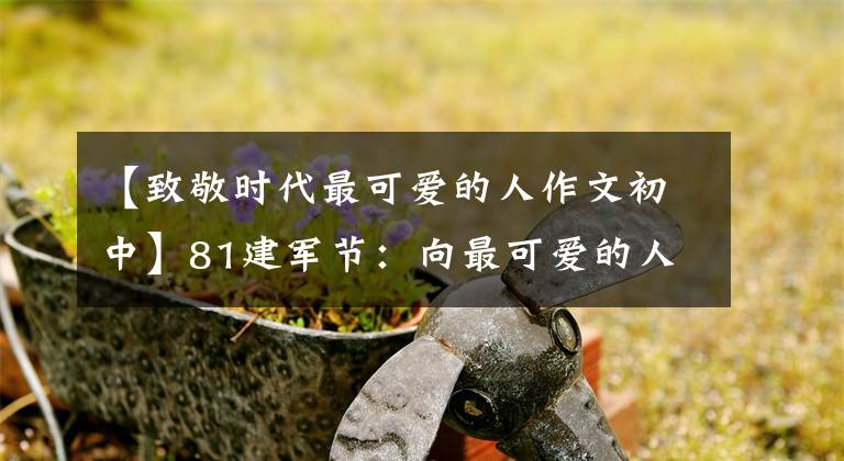 【致敬时代最可爱的人作文初中】81建军节:向最可爱的人致敬