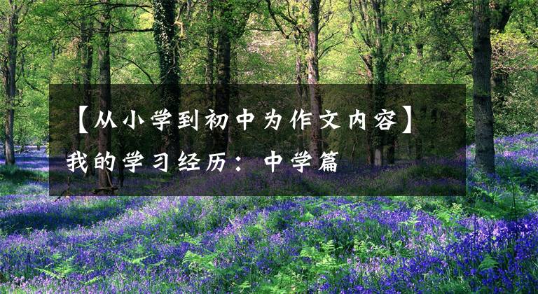 【从小学到初中为作文内容】我的学习经历：中学篇