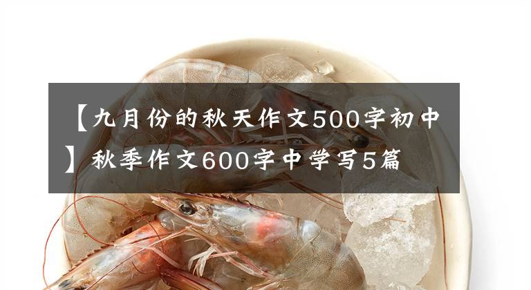 【九月份的秋天作文500字初中】秋季作文600字中学写5篇