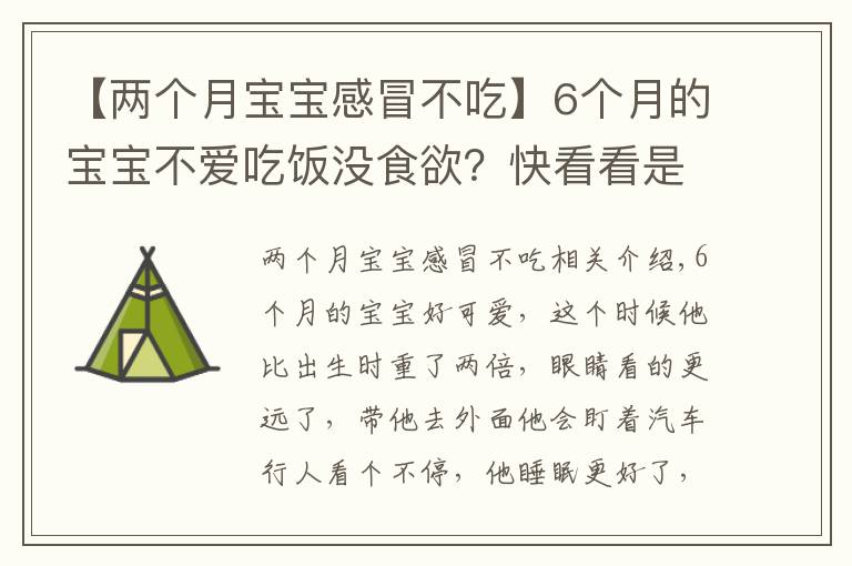 【两个月宝宝感冒不吃】6个月的宝宝不爱吃饭没食欲？快看看是不是该补铁了