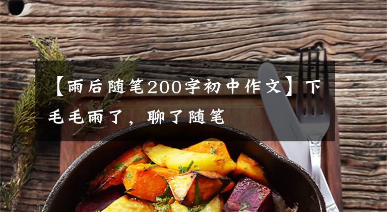 【雨后随笔200字初中作文】下毛毛雨了，聊了随笔