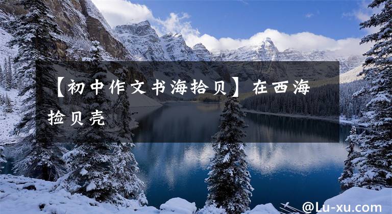 【初中作文书海拾贝】在西海捡贝壳