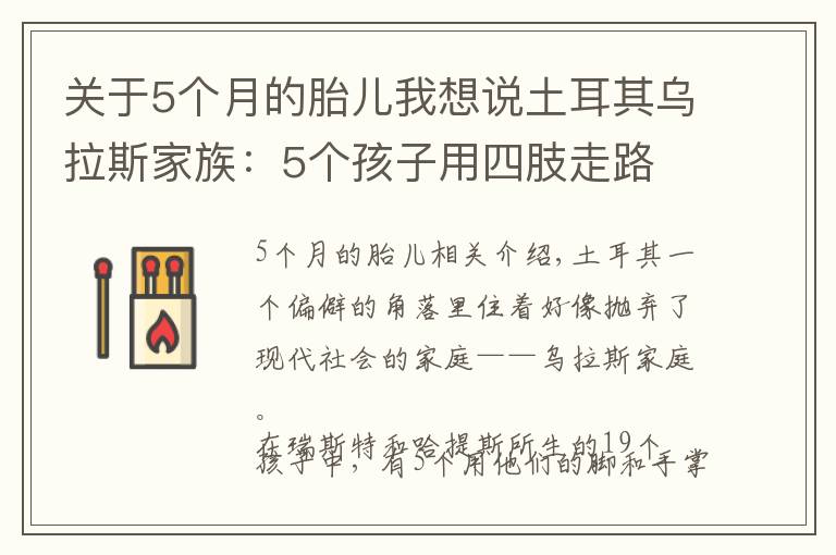 关于5个月的胎儿我想说土耳其乌拉斯家族：5个孩子用四肢走路 背后是什么原因？