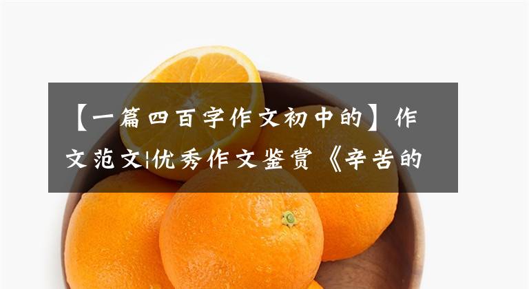 【一篇四百字作文初中的】作文范文|优秀作文鉴赏《辛苦的你，幸福的我》