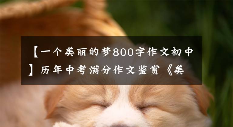 【一个美丽的梦800字作文初中】历年中考满分作文鉴赏《美好的梦想》