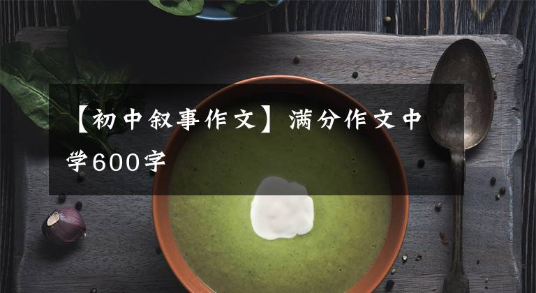 【初中叙事作文】满分作文中学600字