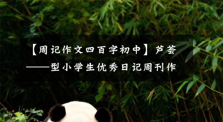 【周记作文四百字初中】芦荟——型小学生优秀日记周刊作文400字