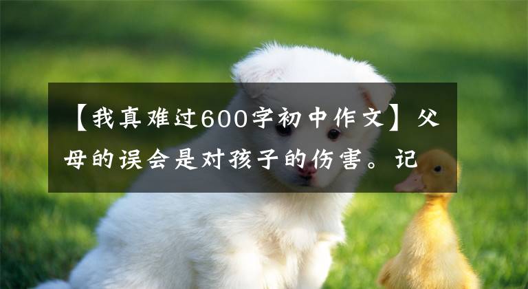 【我真难过600字初中作文】父母的误会是对孩子的伤害。记叙文《那一次，我真伤心》