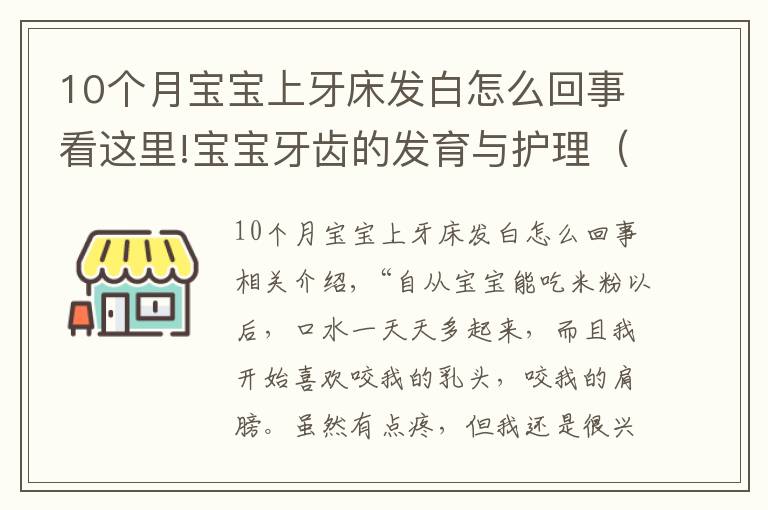 10个月宝宝上牙床发白怎么回事看这里!宝宝牙齿的发育与护理（上）