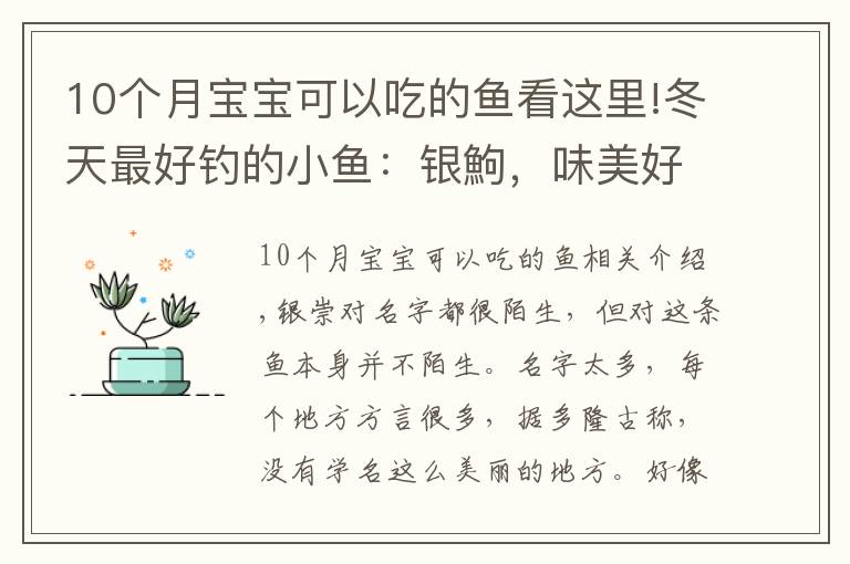 10个月宝宝可以吃的鱼看这里!冬天最好钓的小鱼：银鮈，味美好钓分布广