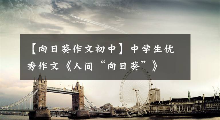 【向日葵作文初中】中学生优秀作文《人间“向日葵”》