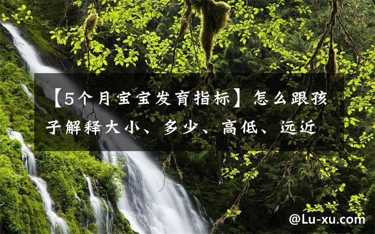 【5个月宝宝发育指标】怎么跟孩子解释大小、多少、高低、远近等相对概念？