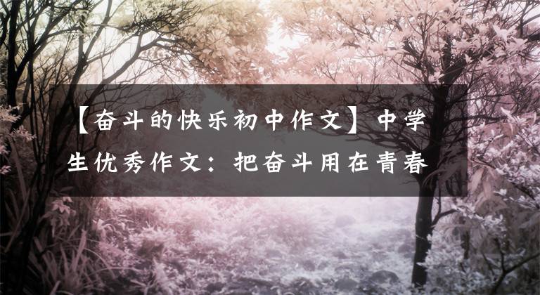 【奋斗的快乐初中作文】中学生优秀作文：把奋斗用在青春上