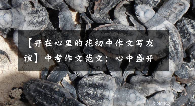 【开在心里的花初中作文写友谊】中考作文范文：心中盛开的花朵(一)