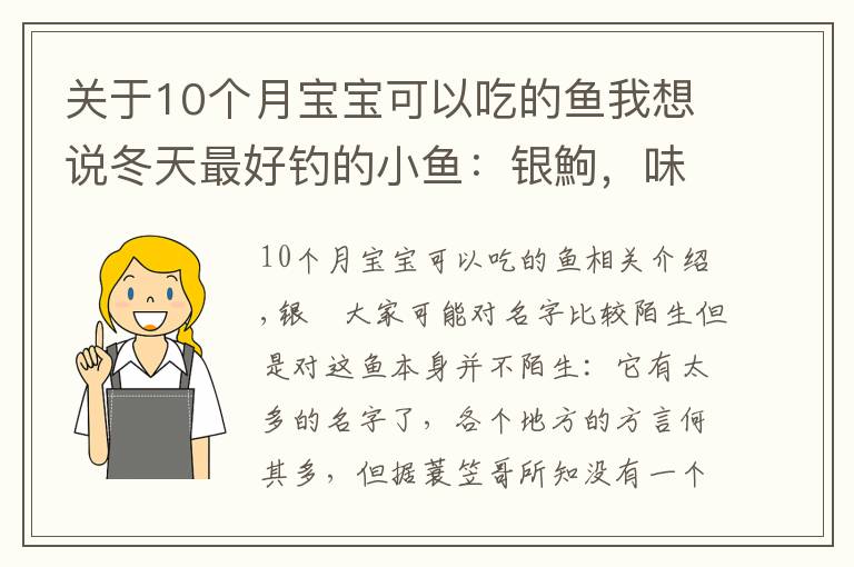 关于10个月宝宝可以吃的鱼我想说冬天最好钓的小鱼：银鮈，味美好钓分布广