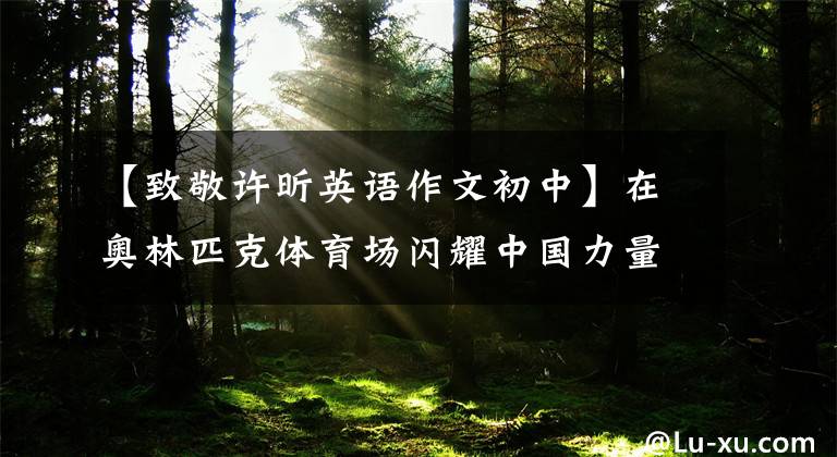 【致敬许昕英语作文初中】在奥林匹克体育场闪耀中国力量的美丽