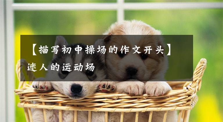 【描写初中操场的作文开头】迷人的运动场