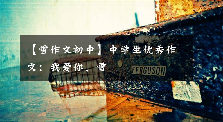 【雪作文初中】中学生优秀作文：我爱你，雪