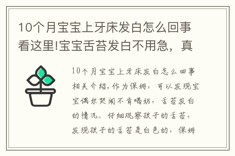 10个月宝宝上牙床发白怎么回事看这里!宝宝舌苔发白不用急，真相可能是这样的