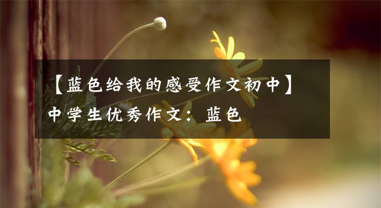 【蓝色给我的感受作文初中】中学生优秀作文：蓝色