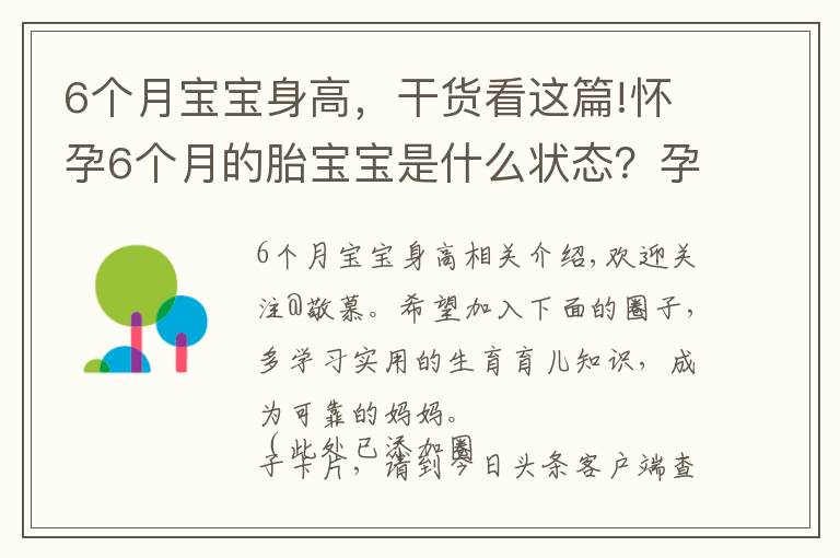6个月宝宝身高，干货看这篇!怀孕6个月的胎宝宝是什么状态？孕妈有这些变化，正确应对是关键