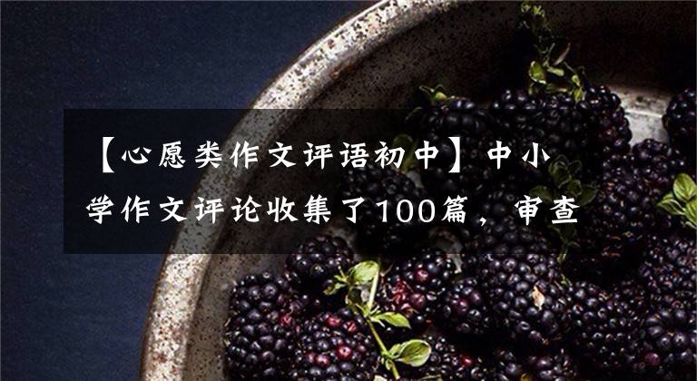【心愿类作文评语初中】中小学作文评论收集了100篇，审查作文不再担心