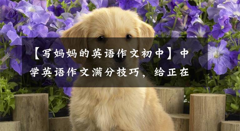 【写妈妈的英语作文初中】中学英语作文满分技巧，给正在准备考试的你