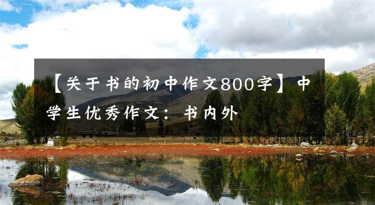 【关于书的初中作文800字】中学生优秀作文：书内外