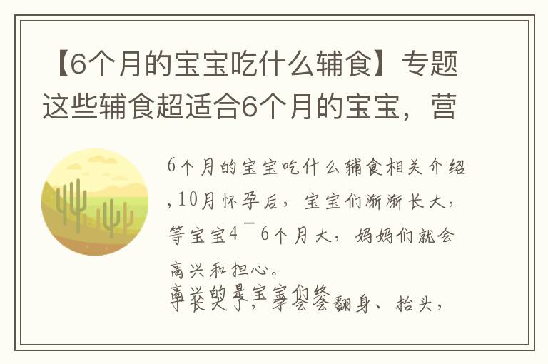 【6个月的宝宝吃什么辅食】专题这些辅食超适合6个月的宝宝，营养又美味，新手爸妈再也不用愁了