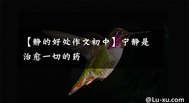 【静的好处作文初中】宁静是治愈一切的药