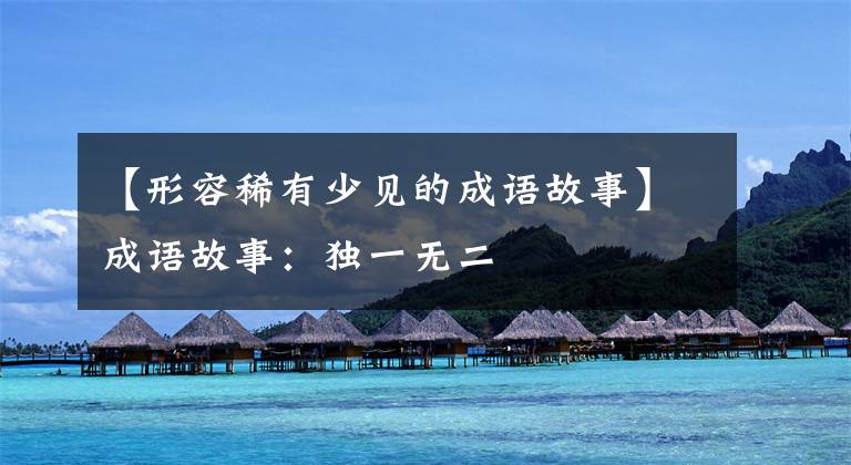 【形容稀有少见的成语故事】成语故事：独一无二