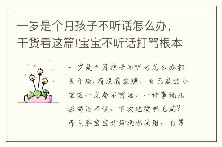 一岁是个月孩子不听话怎么办，干货看这篇!宝宝不听话打骂根本没用，聪明的家长都这样做···