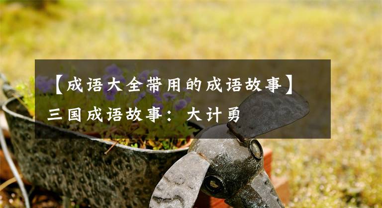 【成语大全带用的成语故事】三国成语故事：大计勇