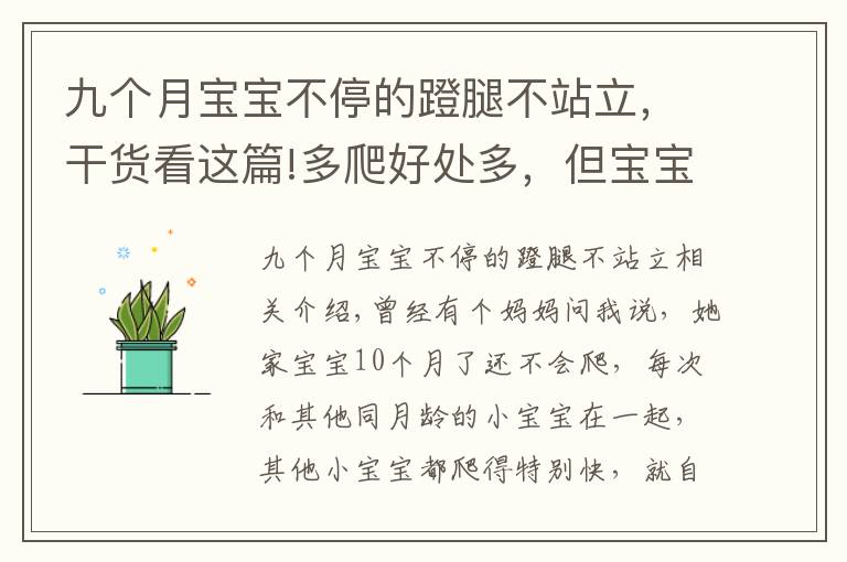 九个月宝宝不停的蹬腿不站立，干货看这篇!多爬好处多，但宝宝就是不爬怎么办？要尊重宝宝的个性发展
