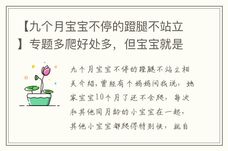 【九个月宝宝不停的蹬腿不站立】专题多爬好处多，但宝宝就是不爬怎么办？要尊重宝宝的个性发展