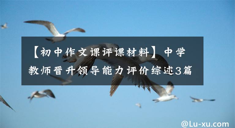 【初中作文课评课材料】中学教师晋升领导能力评价综述3篇