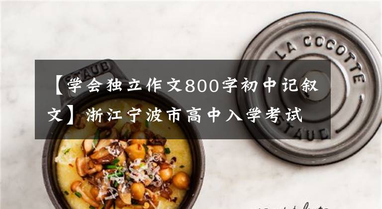 【学会独立作文800字初中记叙文】浙江宁波市高中入学考试作文《自己决定》优秀作文鉴赏参考书