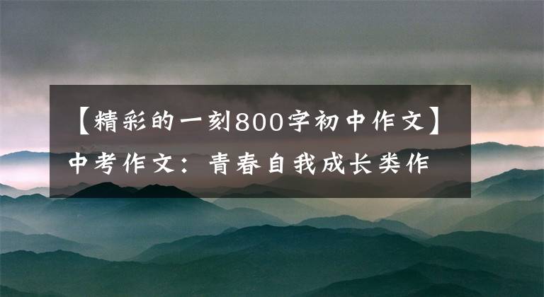【精彩的一刻800字初中作文】中考作文：青春自我成长类作文训练(14度作文附作文指导及范文)