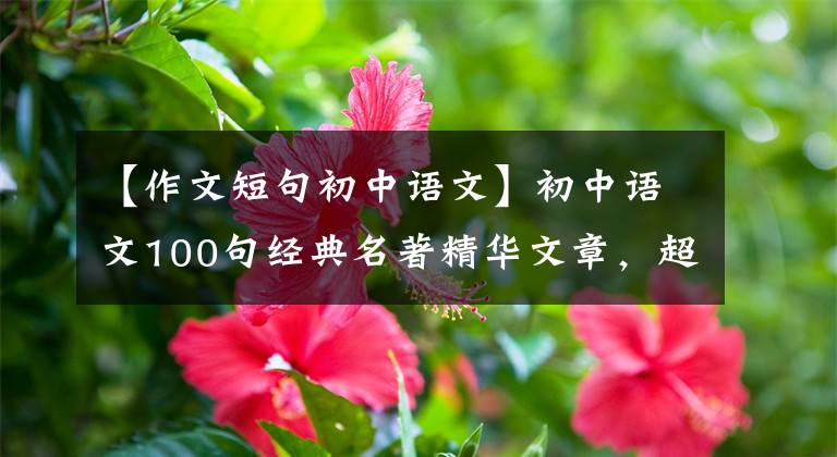 【作文短句初中语文】初中语文100句经典名著精华文章，超加分的期中考试作文素材！可以下载