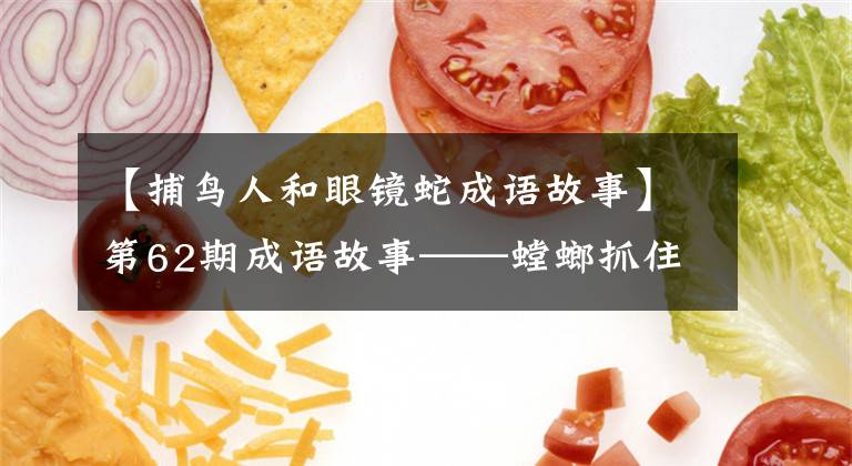【捕鸟人和眼镜蛇成语故事】第62期成语故事——螳螂抓住蛇师，进行了无名10面埋伏