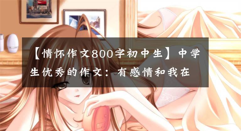 【情怀作文800字初中生】中学生优秀的作文：有感情和我在一起。