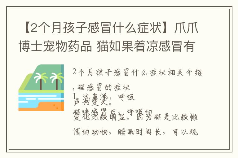 【2个月孩子感冒什么症状】爪爪博士宠物药品 猫如果着凉感冒有什么症状