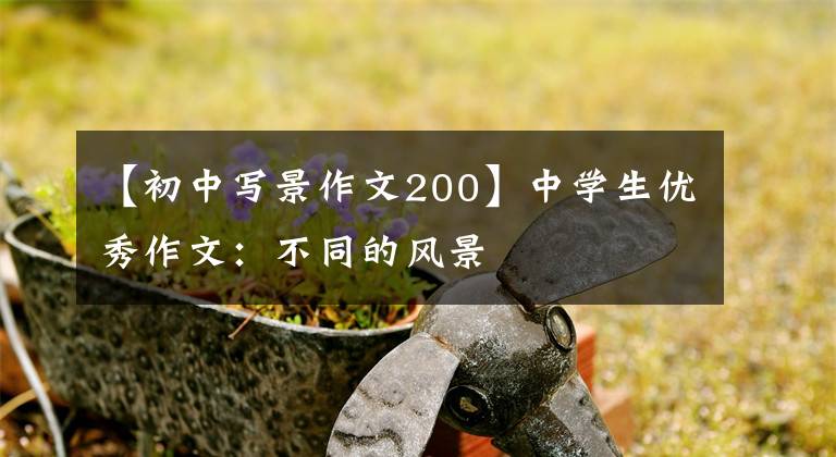 【初中写景作文200】中学生优秀作文：不同的风景