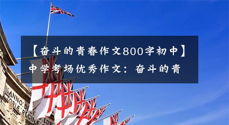 【奋斗的青春作文800字初中】中学考场优秀作文：奋斗的青春