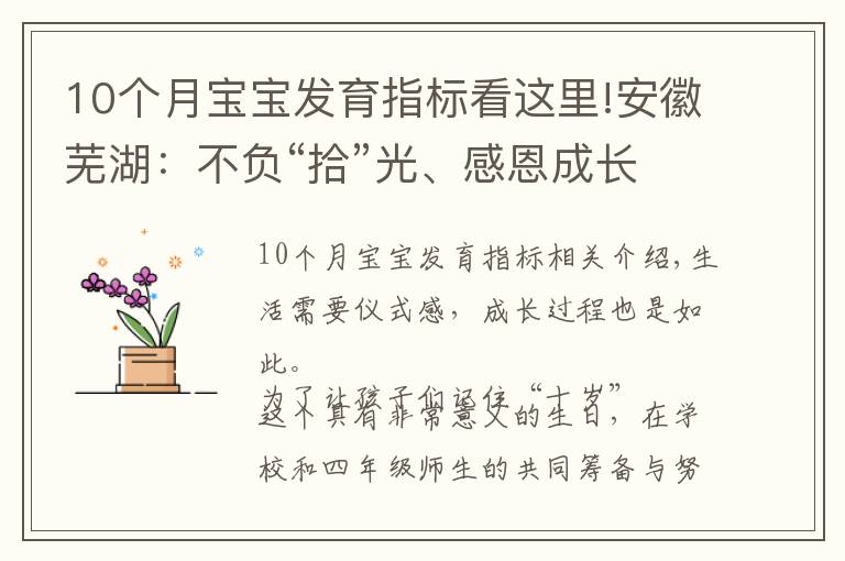 10个月宝宝发育指标看这里!安徽芜湖：不负“拾”光、感恩成长！不一样的“十岁”成长礼