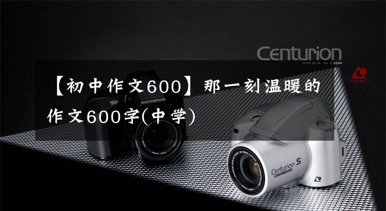 【初中作文600】那一刻温暖的作文600字(中学)