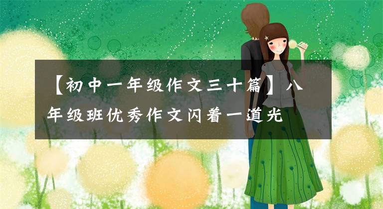 【初中一年级作文三十篇】八年级班优秀作文闪着一道光