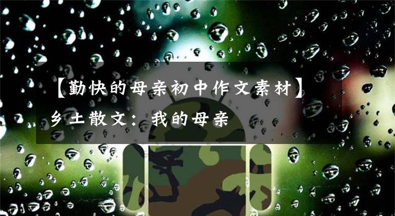 【勤快的母亲初中作文素材】乡土散文：我的母亲