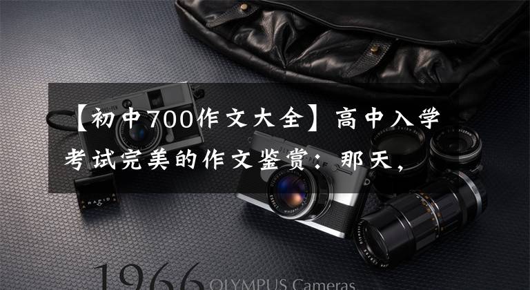 【初中700作文大全】高中入学考试完美的作文鉴赏：那天，阳光真的很好